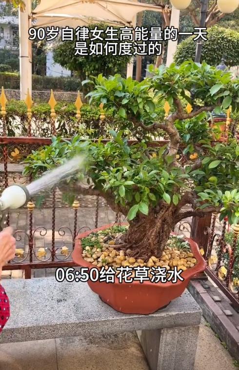 二旬老人看90歲青春女生自律 活出精彩每一天