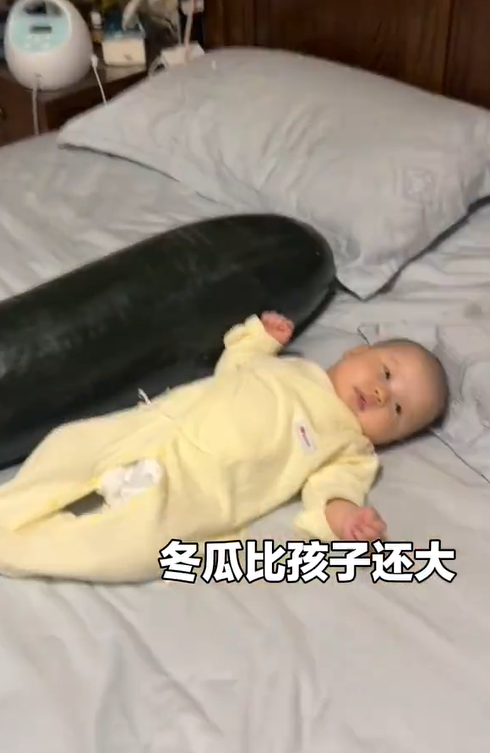 從深圳抱28斤冬瓜回香港給女兒解暑,，寶寶抱著蹭涼萌態(tài)十足