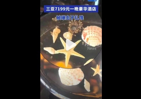 酒店稱房間蟲子成群與生態(tài)環(huán)境有關(guān) 網(wǎng)友：簡直是“蟲蟲特工隊”大聚會