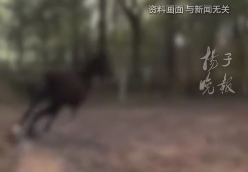 男子因偷马被殴打致死参与者被判无罪,发回重审后25年仍未开庭,一审法院称已重新立案审理
