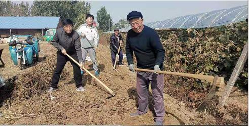 青岛莱西市日庄镇沟东新村：移风易俗新风尚，从摆脱贫困到文化振兴的蝶变