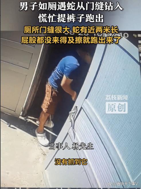 男子如厕遇大蛇闯入慌忙提裤逃窜 惊魂一幕