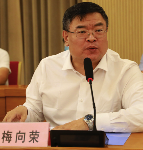 梅向荣百亿融资公司只有两个工位，梅向荣如何把盈科从“宇宙大所”变成“吸金黑洞”？