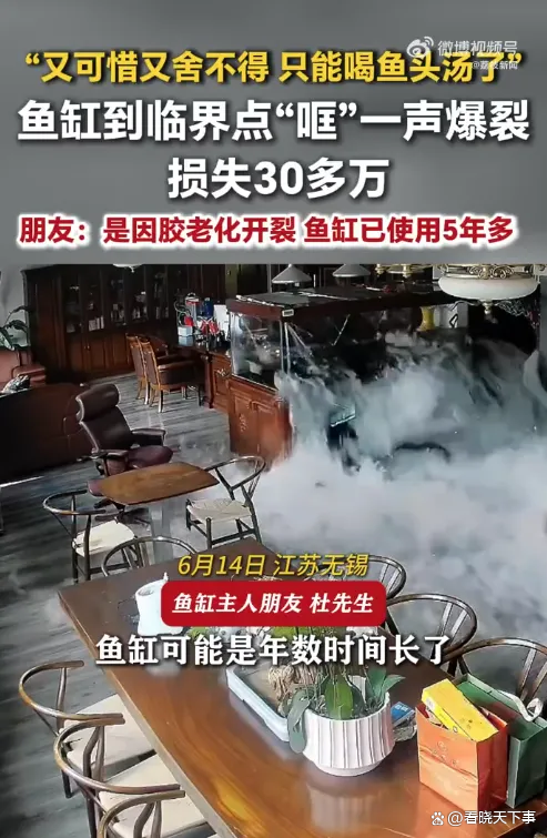 鱼缸炸了30万名贵鱼变鱼头汤