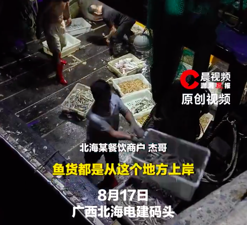 开海后餐厅为抢首批海鲜直接包船 老板称开海后海鲜价格将持续下降