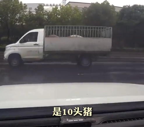 小货车一路开一路掉“二师兄”，开路最终九头成功归队