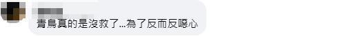台北灯节大陆元素又让“青鸟”崩溃 绿营双标遭批