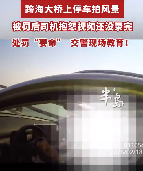 应急车道不是观景台！女子胶州湾大桥停车拍海景记9分罚200元