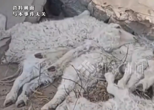 律师谈女子在蓄水池投百草枯：行为已构成投放危险物质罪 ，最高可判10年