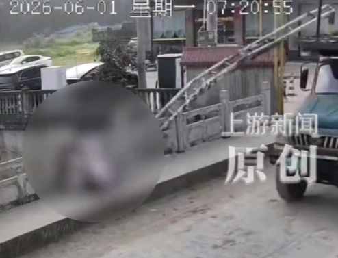 货车撞倒限高架砸中两学生 警方回应