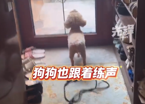 ​女子回应7年唱歌没火狗却火了 网友：要不都说学习氛围重要呢