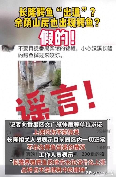 广州长隆鳄鱼出逃？官方辟谣：网传信息不实 养殖地水位未上涨