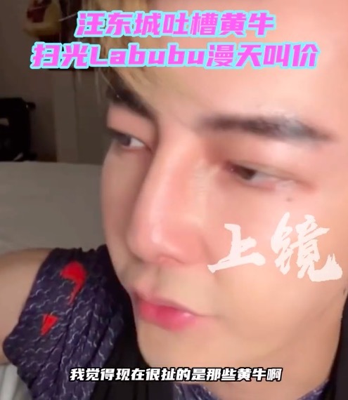 汪东城批Labubu黄牛是恶人：不可以让黄牛得逞