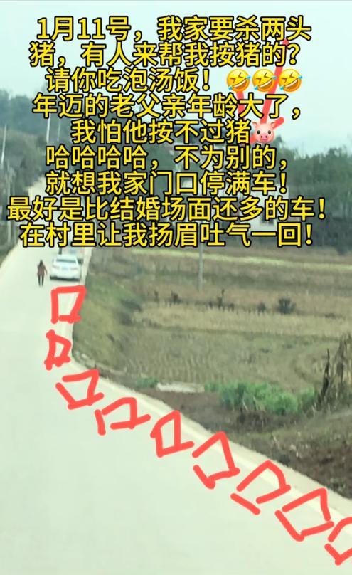 重庆一女孩网上“摇人”杀年猪 意外走红全国