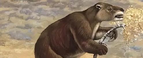 巴西发现1.3万年前史前隧道，科学家研究后认为：不是人类建造
