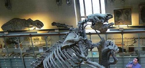 巴西发现1.3万年前史前隧道，科学家研究后认为：不是人类建造