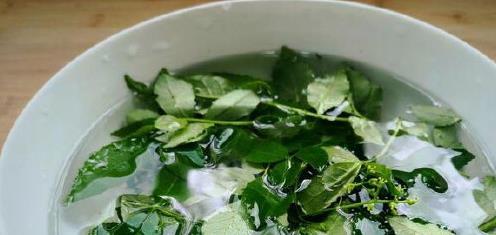 春天花椒叶鲜嫩正当时，摘来做煎饼养肝降燥，吃上一口满嘴香