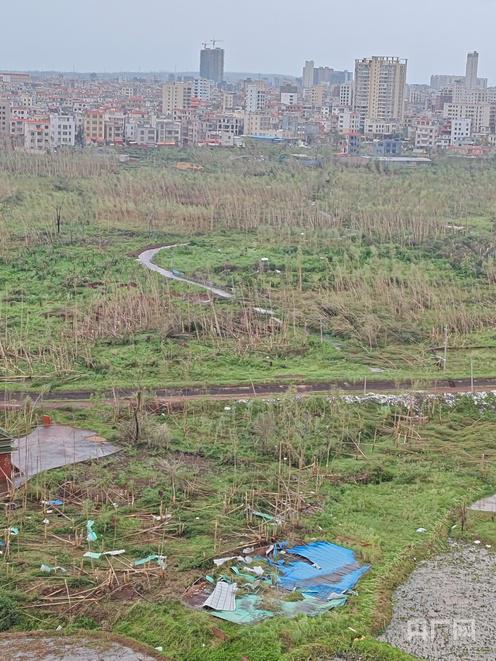 直击湛江徐闻台风过境后现状 满目疮痍，救援重建进行时