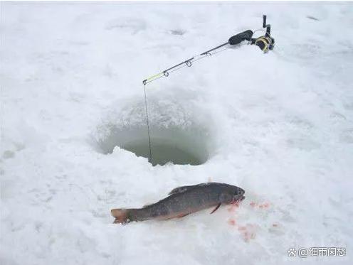 来黑龙江漠河赴冰雪之约 探寻北极村的纯净与奇迹