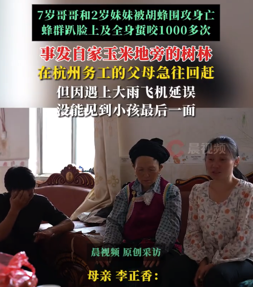 兄妹被蜇身亡父母沒能見到最后一面 蜂群趴兄妹臉上及全身蜇咬1000多次 