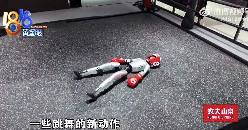 『机器人』️又“整活”了！ 宇树科技『机器人』️要在数贸会打拳击
