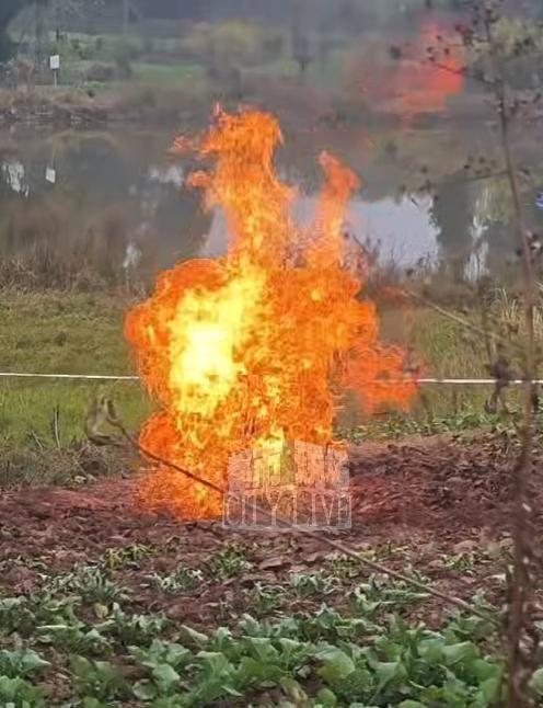四川一菜地冒火已7天 人人前去检测 荒凉地质异象激发神色