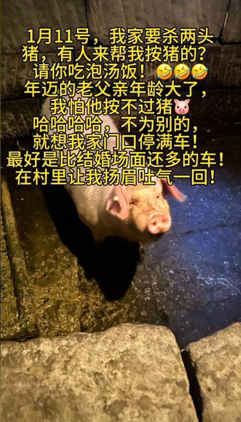 重庆一女孩网上“摇人”杀年猪 意外走红全国