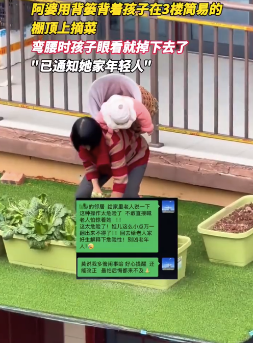 太危险了！阿婆背着娃在棚顶上摘菜娃险些掉下去