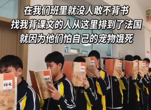 怕电子宠物饿死全班排队背书 老师：找我背课文的人排到了法国