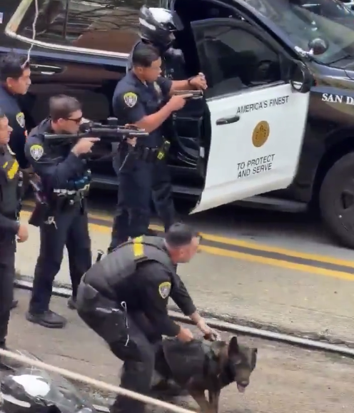 美国大批警员全副武装 出动警犬抓捕手持木棍嫌犯