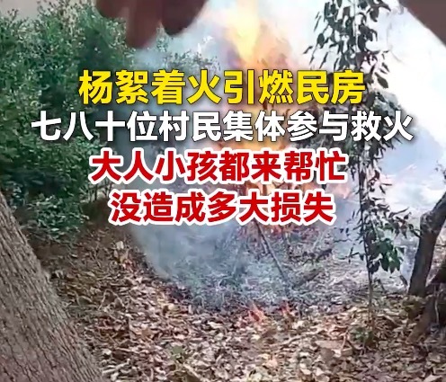 杨絮着火引燃房子村民集体救火：大人小孩都来帮忙了