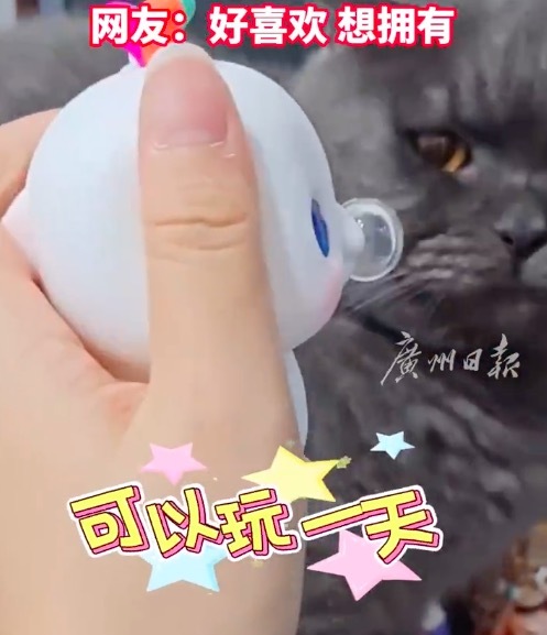 被“喜洋洋”“乐融融”萌晕！十五运吉祥物在哪能买到