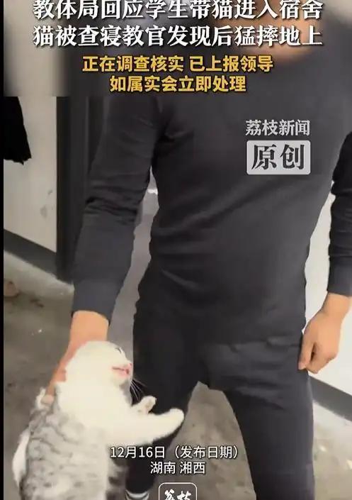 猫被教官摔死后续 生命不应成为发泄工具！