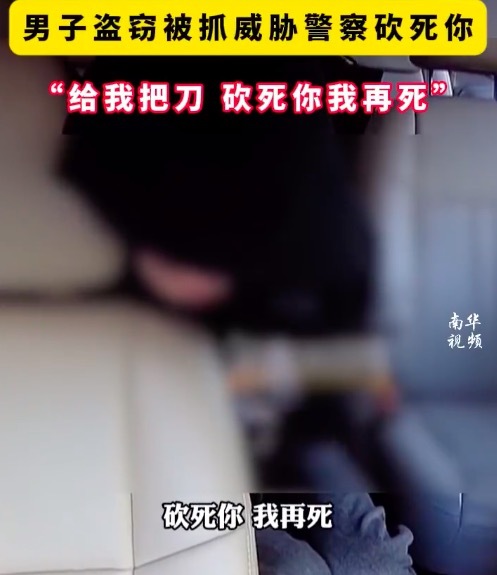 男子盗窃被抓威胁警察给把刀 警方：让法律制裁你