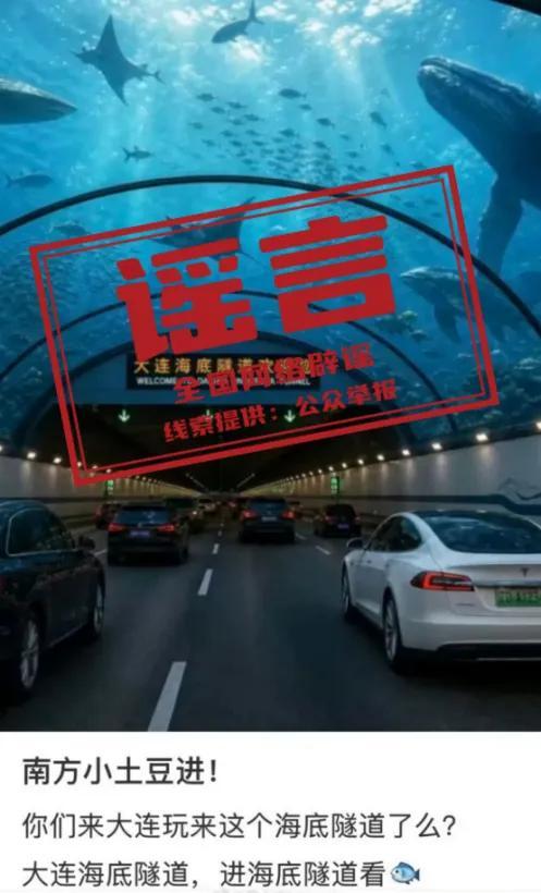 大连湾海底隧道能看到鲨鱼不实
