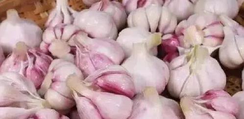 腌糖醋蒜总失败？10人9错不加水，味道香脆全家夸