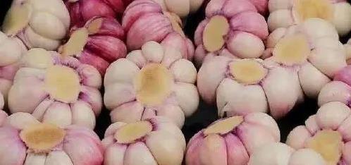 腌糖醋蒜总失败？10人9错不加水，味道香脆全家夸