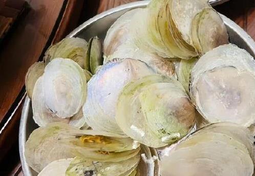 海南五大怪菜有多奇?当地人抢着吃,外地人却不敢下嘴_新闻看看