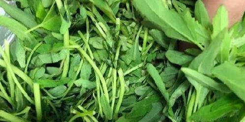 山里野菜变美食，超市废料成宝贝，包饺子香到邻居馋？