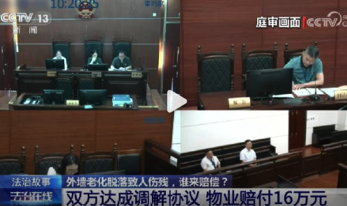 外墻老化脫落致人傷殘應(yīng)該誰(shuí)賠,？被脫落墻磚砸成10級(jí)傷殘索賠20多萬(wàn)