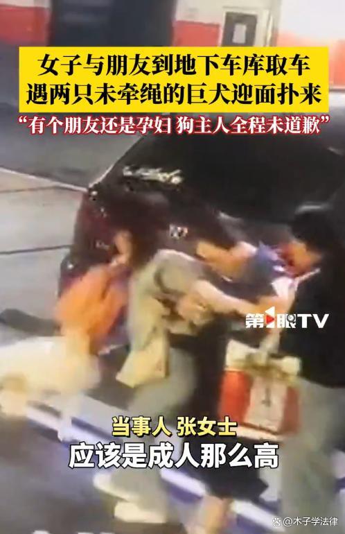 女子与友人在车库遇两巨犬扑人 孕妇受惊引关注
