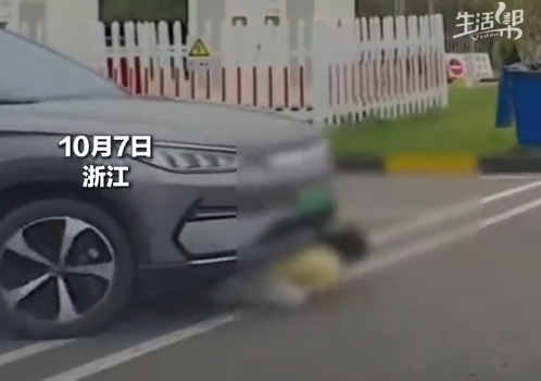 女童蹲车前玩耍被后车失慎压过 世东谈主协力抬车救东谈主