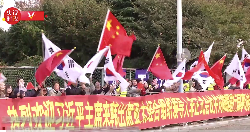 留学生挥舞中韩两国国旗