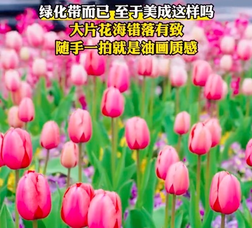 温馨提示：打卡美景时千万别站马路中间，安全第一！