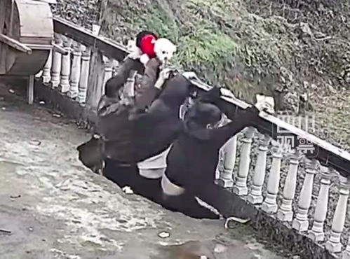 老院坝垮塌致3人坠落狗“神避险” 知情人士:院坝年久失修,仅被钢筋轻微挂伤,并无大碍