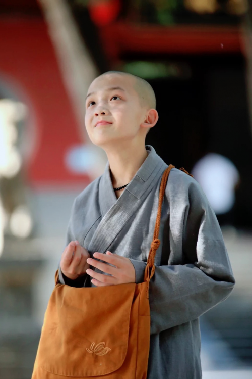 《莲花楼》神秘男童打戏超燃 少林寺释恒毅本色出演