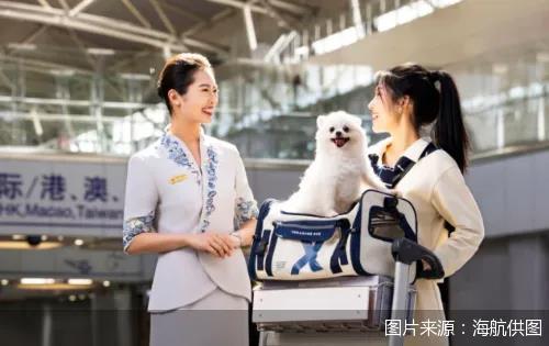 客运收益下滑，航司将靠“宠物座位”增收？“相当于多卖一张机票”