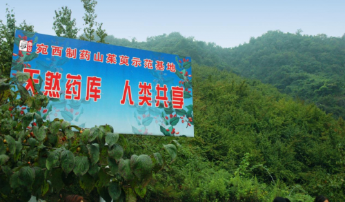 摆脱工作压力，告别烦琐事，逍遥丸开启轻松享受生活的秘诀