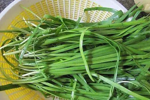 买韭菜，应该买“宽叶”还是“细叶”的？看完记得告诉家里人