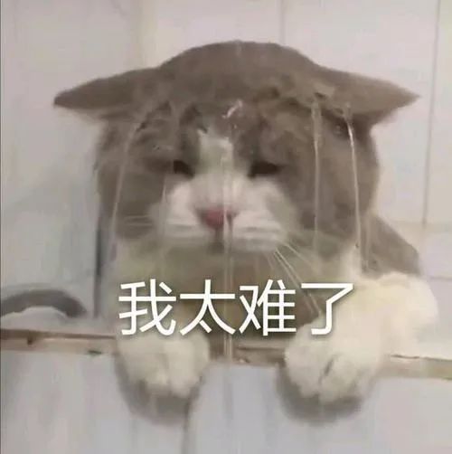 清明前北方有一场大降温 部分地区降温可达12℃以上